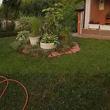 Azbella Zelena Meraja